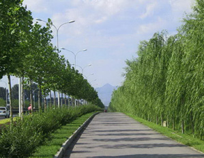 кh(hun)